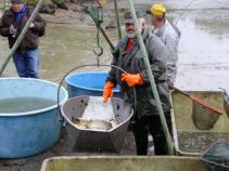 foto/forum/2010/th-img15246.jpg