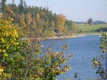 foto/forum/2010/th-img15261.jpg
