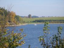 foto/forum/2010/th-img15262.jpg