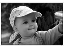 foto/forum/2010/th-img15306.jpg