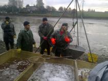 foto/forum/2010/th-img15316.jpg