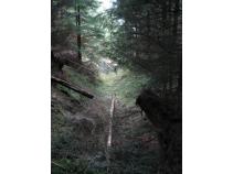 foto/forum/2010/th-img15346.jpg