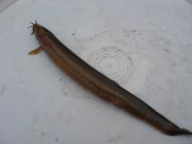 foto/forum/2010/th-img15386.jpg