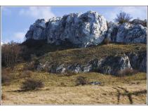 foto/forum/2010/th-img15402.jpg