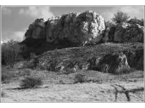foto/forum/2010/th-img15404.jpg