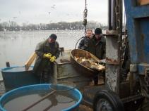 foto/forum/2010/th-img15420.jpg
