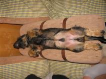 foto/forum/2010/th-img15456.jpg