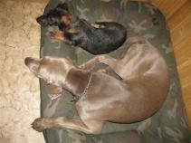 foto/forum/2010/th-img15458.jpg