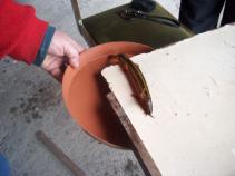 foto/forum/2010/th-img15465.jpg