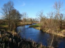 foto/forum/2010/th-img15468.jpg