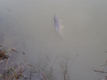foto/forum/2010/th-img15481.jpg