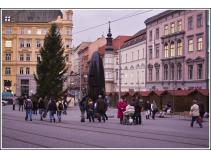 foto/forum/2010/th-img15500.jpg