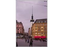 foto/forum/2010/th-img15510.jpg