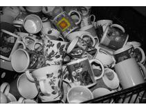 foto/forum/2010/th-img15539.jpg