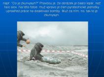 foto/forum/2010/th-img15547.jpg