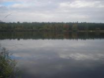 foto/forum/2010/th-img15551.jpg