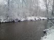 foto/forum/2010/th-img15567.jpg