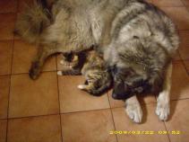foto/forum/2010/th-img15584.jpg