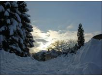 foto/forum/2010/th-img15612.jpg