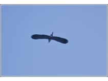 foto/forum/2010/th-img15648.jpg