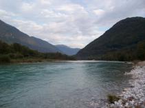 foto/forum/2010/th-img15651.jpg