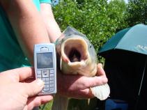 foto/forum/2010/th-img15668.jpg