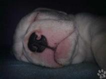 foto/forum/2010/th-img15705.jpg