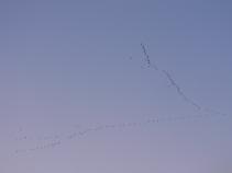 foto/forum/2010/th-img15722.jpg