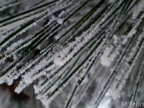 foto/forum/2010/th-img15734.jpg