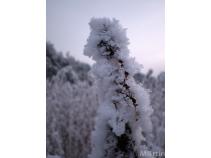 foto/forum/2010/th-img15736.jpg