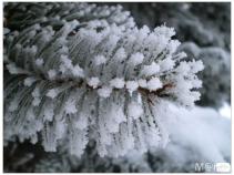 foto/forum/2010/th-img15738.jpg