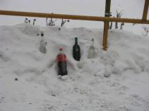 foto/forum/2010/th-img15750.jpg