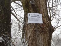foto/forum/2010/th-img15785.jpg