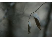 foto/forum/2010/th-img15828.jpg