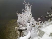 foto/forum/2010/th-img15844.jpg