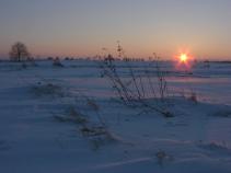 foto/forum/2010/th-img15875.jpg