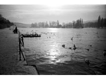 foto/forum/2010/th-img15885.jpg