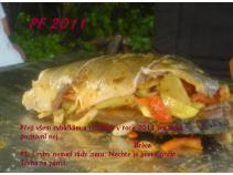 foto/forum/2010/th-img15890.jpg