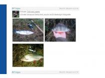 foto/forum/2010/th-img15914.jpg