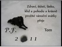 foto/forum/2010/th-img15932.jpg