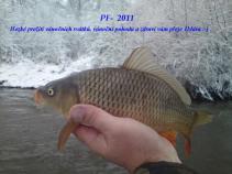 foto/forum/2010/th-img15933.jpg