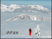 foto/forum/2010/th-img15937.jpg