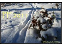 foto/forum/2010/th-img15941.jpg