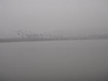 foto/forum/2010/th-img15954.jpg