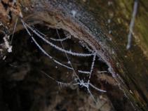 foto/forum/2010/th-img15983.jpg