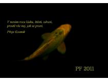 foto/forum/2010/th-img16013.jpg