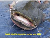 foto/forum/2010/th-img16039.jpg