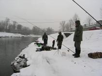 foto/forum/2010/th-img16043.jpg