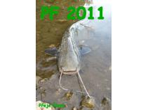 foto/forum/2010/th-img16047.jpg