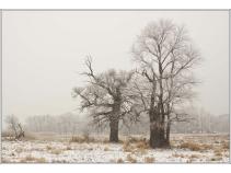 foto/forum/2011/th-img16074.jpg